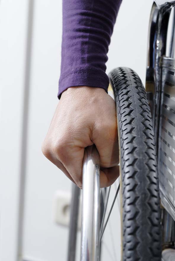 shutterstock_59203036 recise.jpg