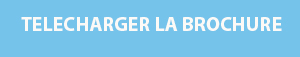 bouton télécharger la brochure.jpg