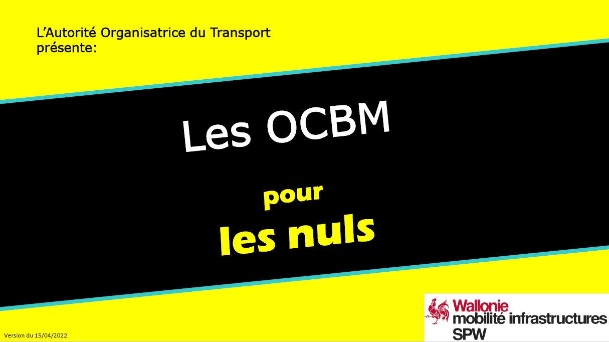 cover-ocbm-pour-les-nuls.JPG