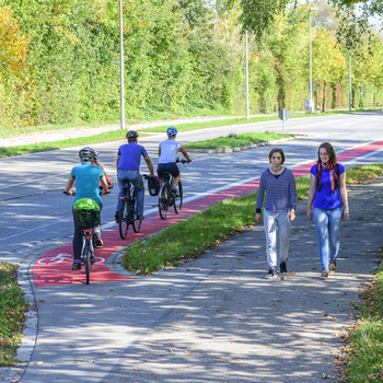 Formations : devenez Manager piéton ou vélo
